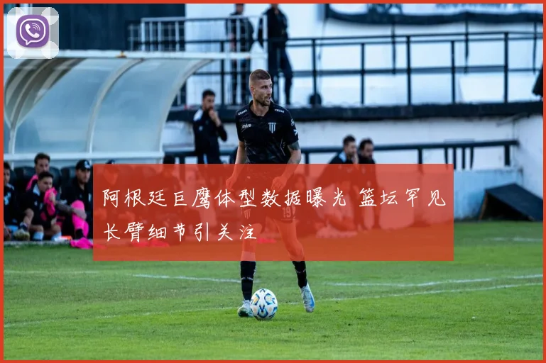 阿根廷巨鹰体型数据曝光 篮坛罕见长臂细节引关注
