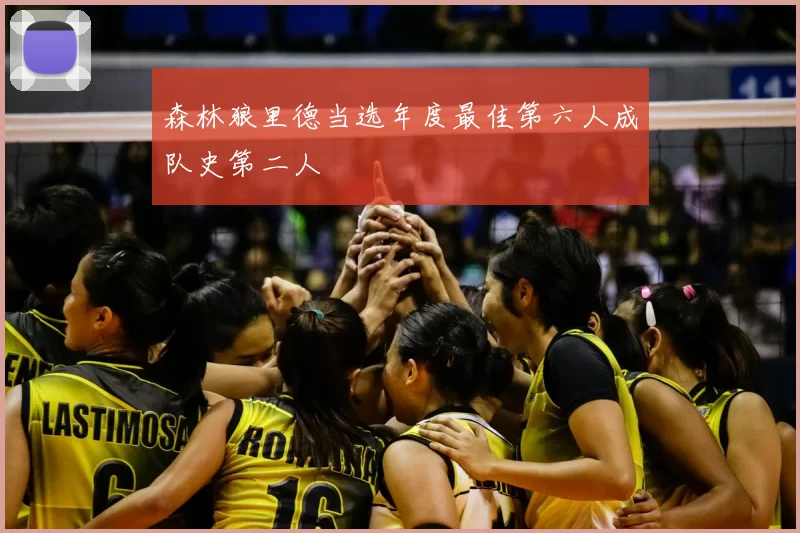 森林狼里德当选年度最佳第六人成队史第二人