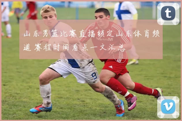 山东男篮比赛直播锁定山东体育频道 赛程时间看点一文汇总