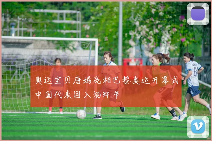 奥运宝贝唐嫣亮相巴黎奥运开幕式中国代表团入场环节