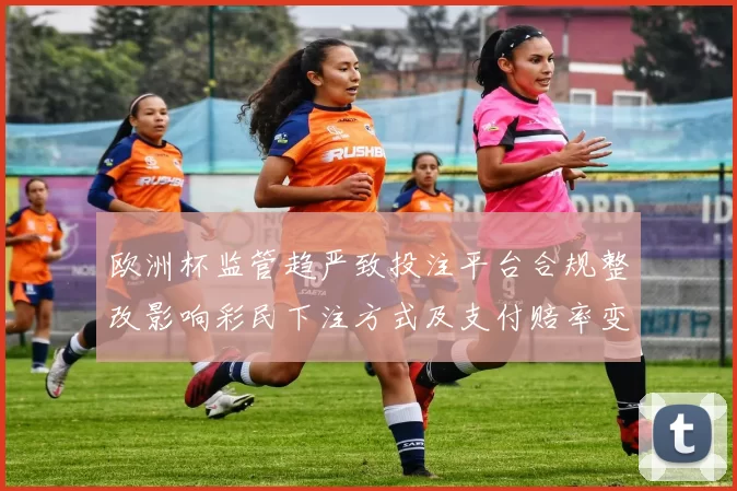 欧洲杯监管趋严致投注平台合规整改影响彩民下注方式及支付赔率变化看点