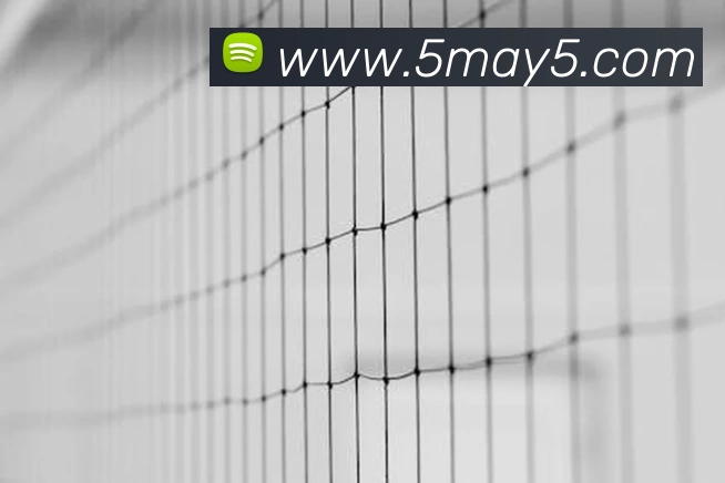 开云体育·(中国)APP全站下载品牌故事