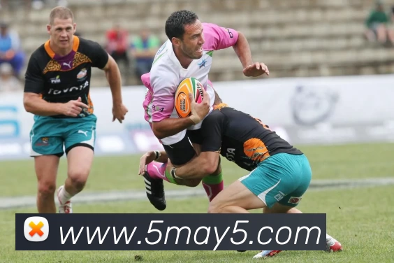 多媒体互动体验